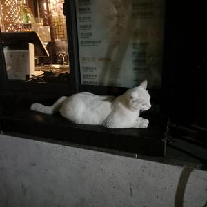 亚洲女人色综合小说
